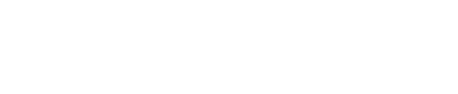 Holden Motor Company