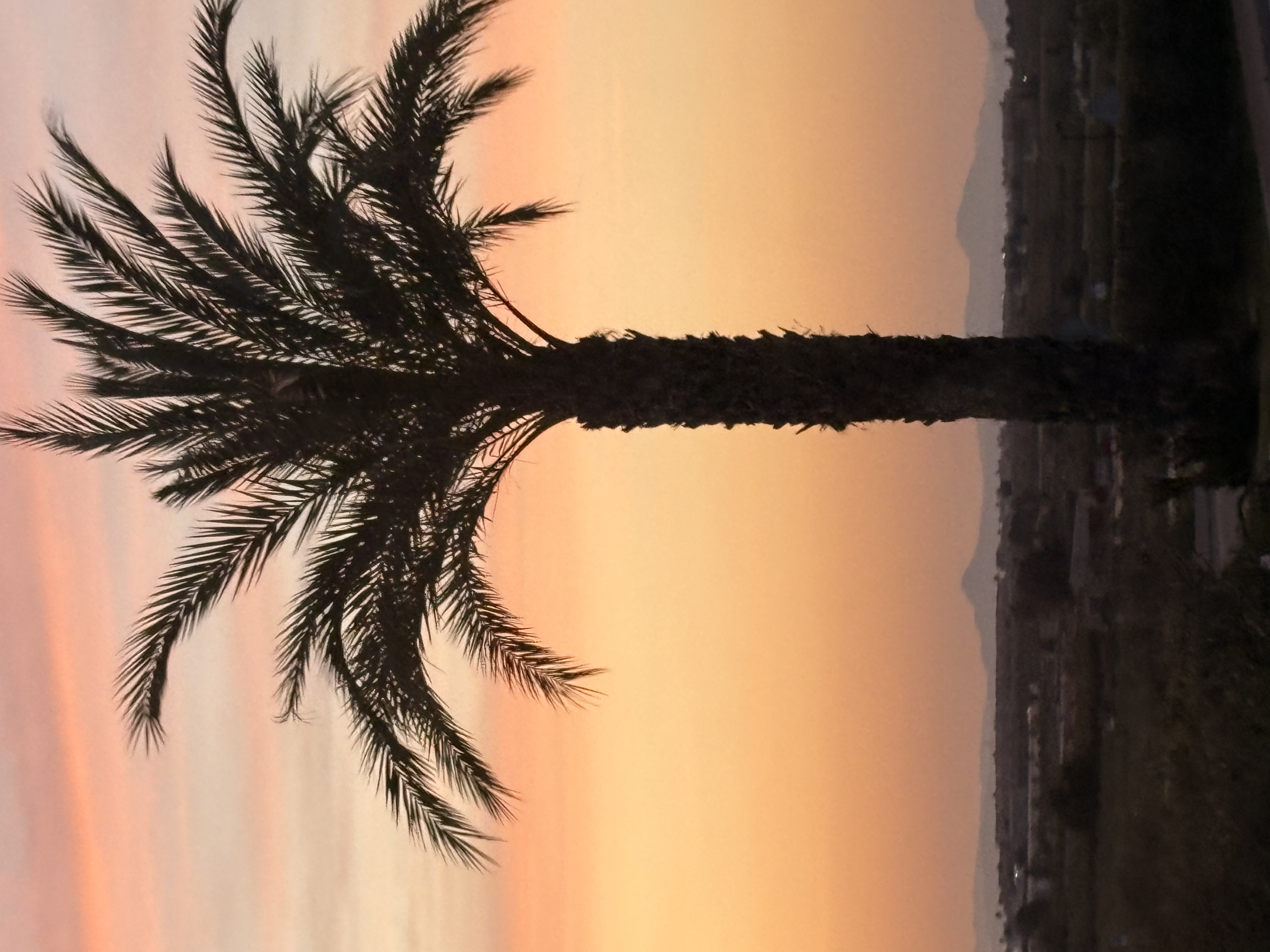 Used Skoda Citigo 2018 in Wicklow